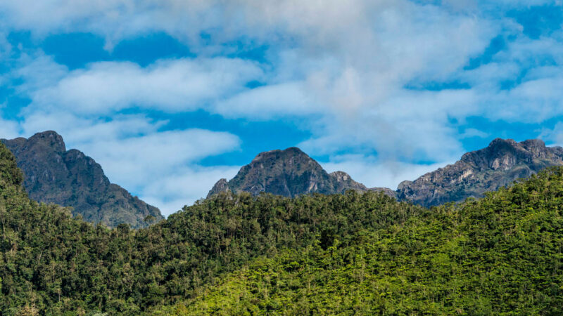 El Parque Nacional Natural Farallones captura la atención en la COP16