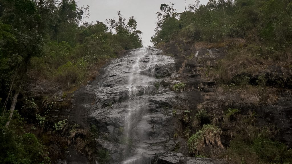 El Parque Nacional Natural Farallones captura la atención en la COP16