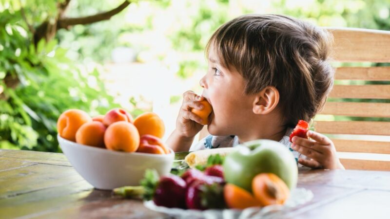 ¿Cuáles son los desafíos actuales para una alimentación adecuada?