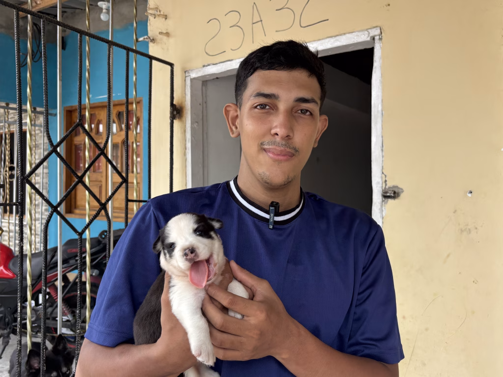 Zeus ya está recuperado