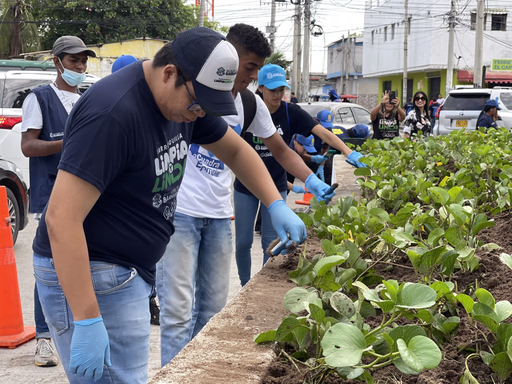 Transformación verde en Barranquilla: logros concretos en sostenibilidad urbana