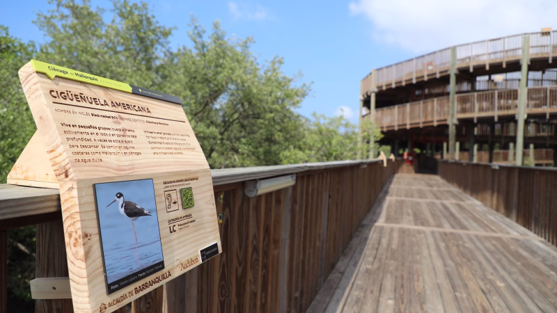 Ecoparque Ciénaga de Mallorquín presenta su primera galería de aves