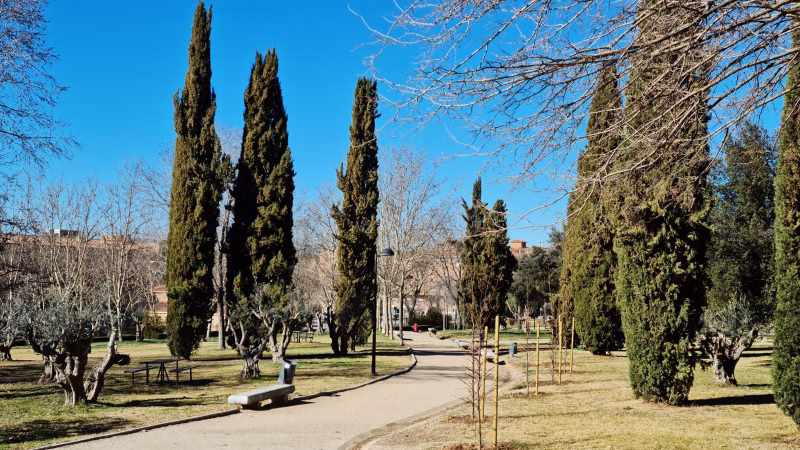 España impulsa su transformación verde: Toledo planta 2.000 nuevos árboles