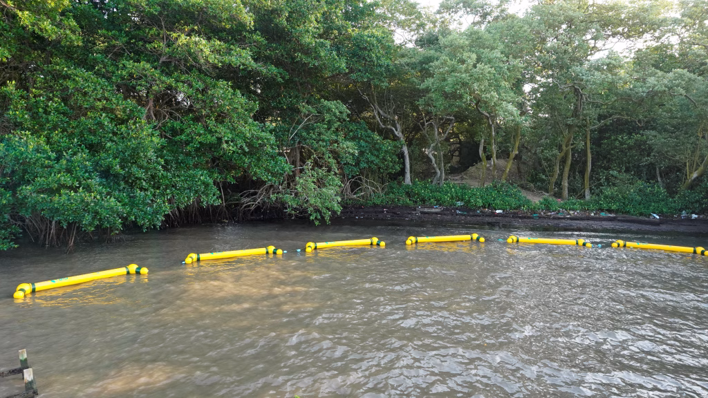 Retenedores flotantes instalados en la ciénaga de Mallorquín para proteger el manglar.