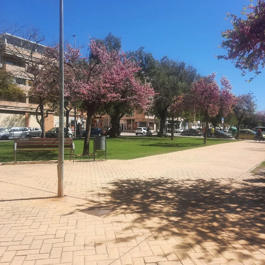 Parque urbano en Teatinos, Málaga, con árboles en flor y ambiente tranquilo.