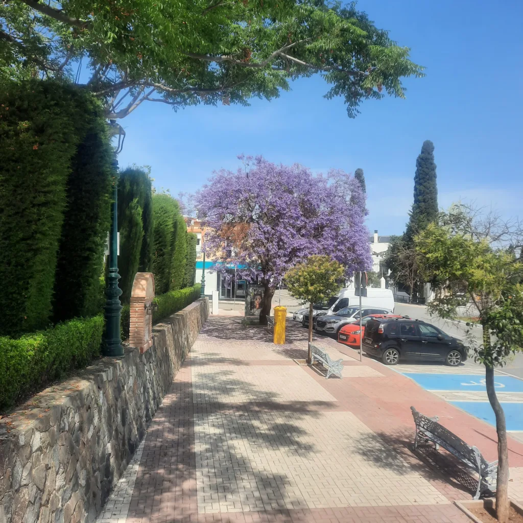 Paseo de Churriana con setos verdes, bancos y una jacaranda en flor bajo el cielo despejado.