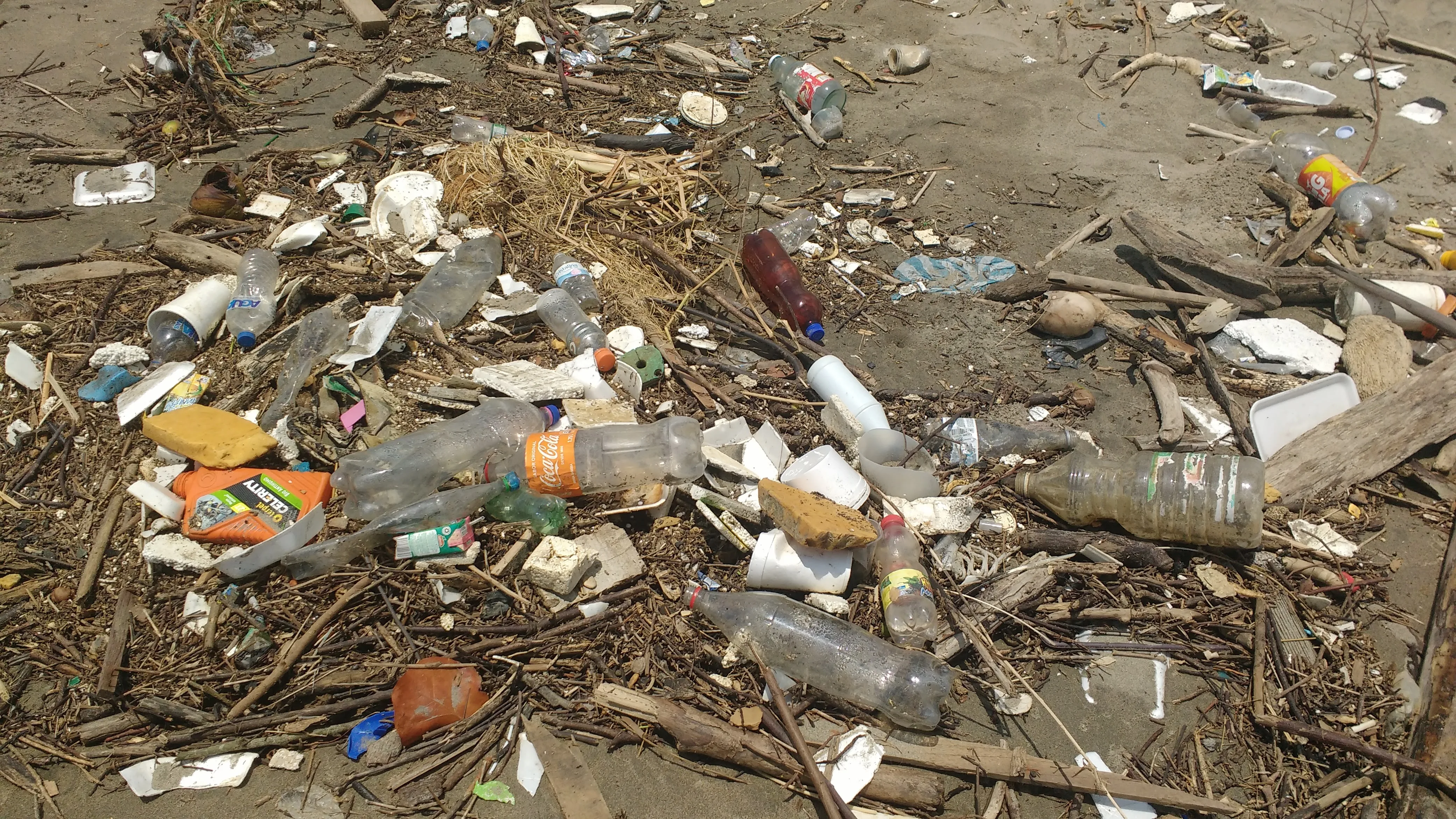 Residuos plásticos acumulados en una playa, una problemática global que también amenaza ecosistemas costeros y fluviales del Caribe colombiano